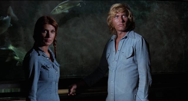A drifter (Wal Davis) is suspected of murder in Pedro L. Ramirez's The Fish with the Eyes of Gold (1974)