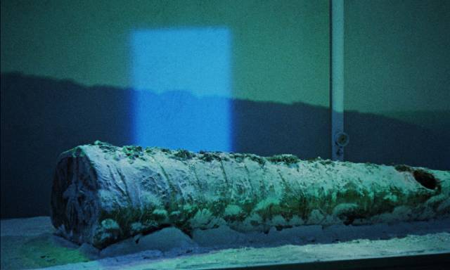 ... and neglects to close the freezer door in Reptilicus (1961)