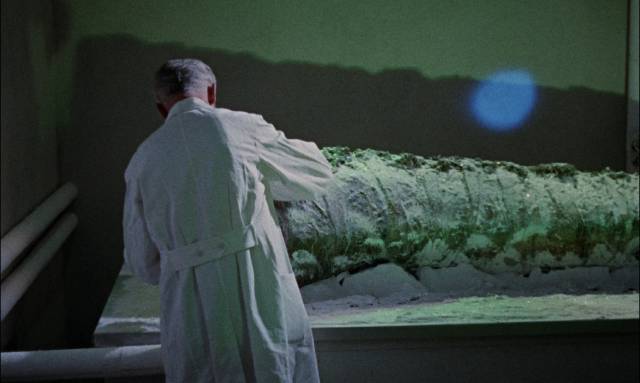 Dr. Peter Dalby (Povl Wøldike) takes a sample from the frozen tail in Reptilicus (1961)