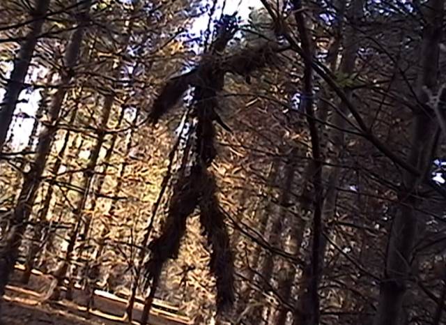 Menacing figures hang from the trees in Daniel Myrick and Eduardo Sánchez’s The Blair Witch Project (1999)