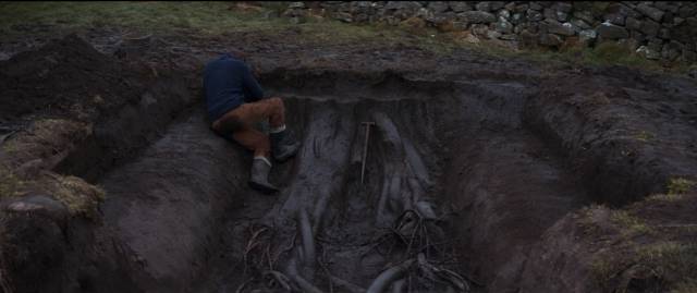 The roots of an ancient tree exert a dark force in Daniel Kokotajlo's Starve Acre (2023)